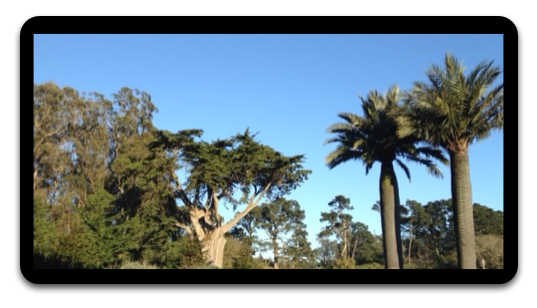 Gwe-hdtv-large.png