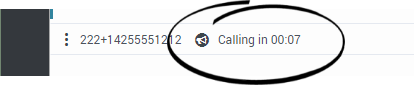 GAPI 900 Outbound Preview Call Timer.png