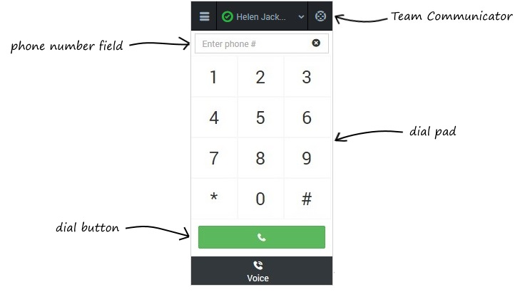 GPlusVoiceView.png