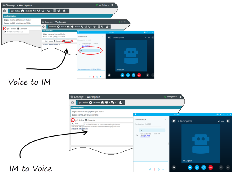 File:Skype plugin agent.png