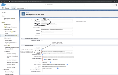 Gplus 900 Salesforce Setup New Connected App View.png