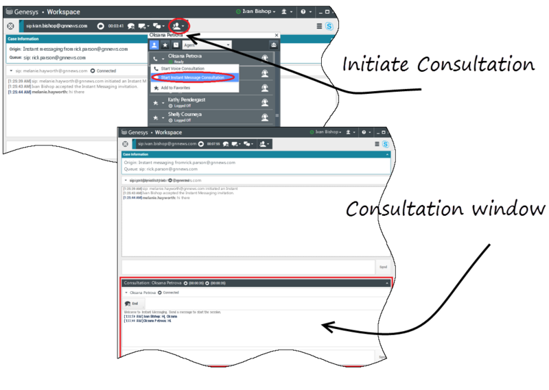 File:Skype plugin consult.png