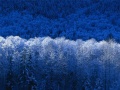 Thumbnail for version as of 14:31, May 22, 2013