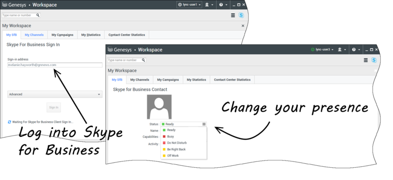 File:Skype plugin signin.png