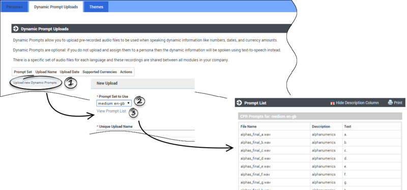 File:GAAP350 Help DynPrompt1.png